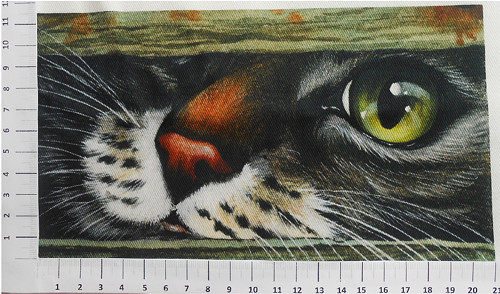KEPR panel- zvířata (2K11/45) 21x 14 cm — foto 1