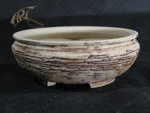 Bonsai miska 3 — foto 1