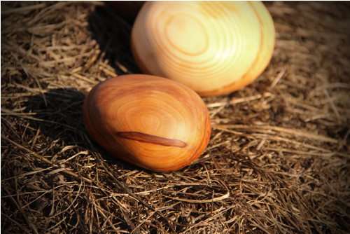 Jabloňové mazlítko — foto 1