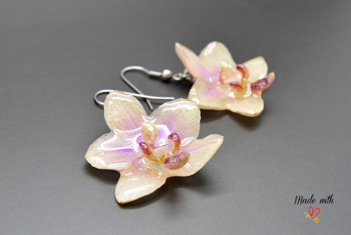 Phalaenopsis malá náušnice — foto 1