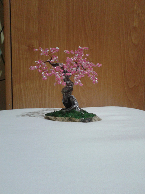 Sakura rosa — foto 1