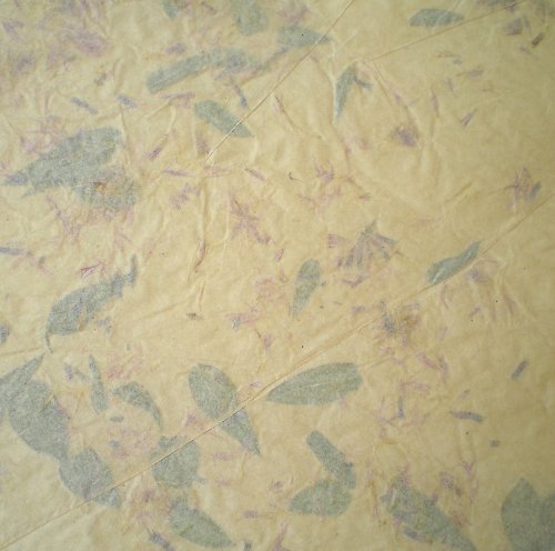 Chrpa s listy pergamen — foto 1