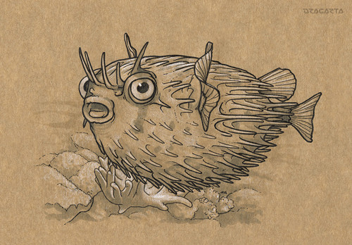 Inktober 2016/13 Ježík