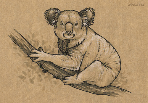 Inktober 2016/15 Koala