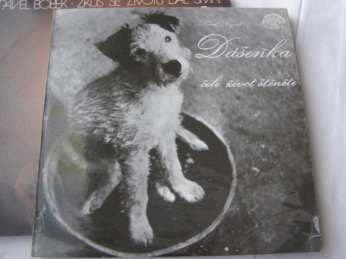 LP deska Dášeňka — foto 1