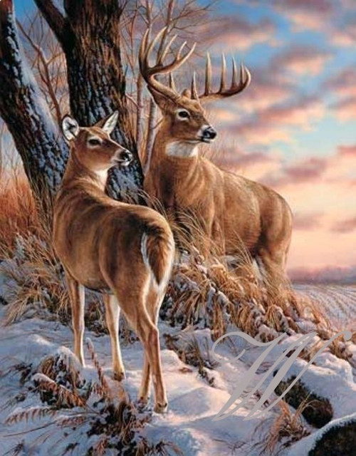 Bavlněný panel č. 2651