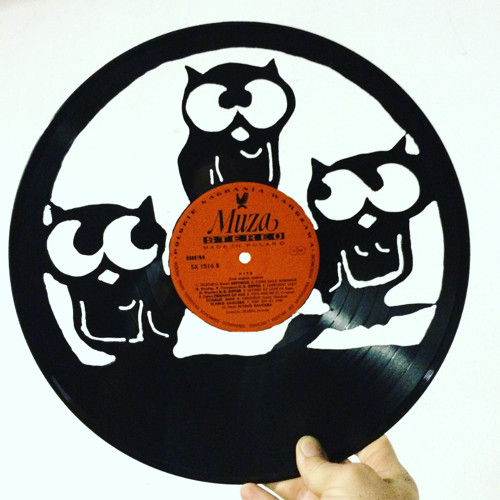 Sovičky na vinylu — foto 1