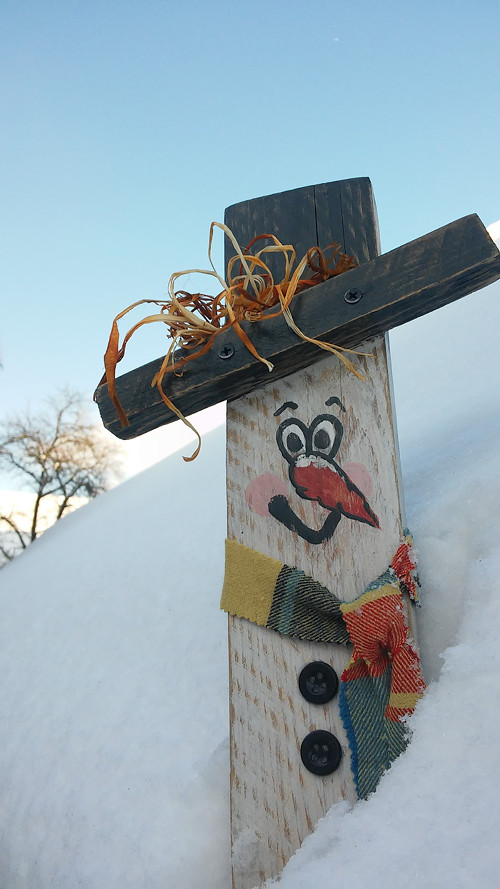 Sněhulák dřevěný — foto 1