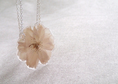 Sakura — foto 1