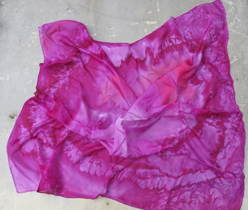 Fuchsia — foto 1