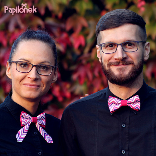 Sada motýlků - Papilónek haďákovi — foto 1