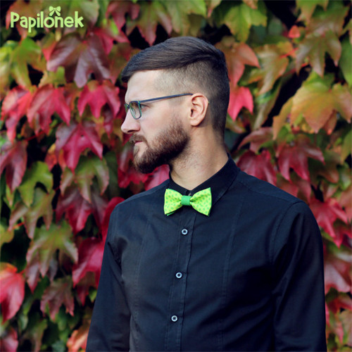 Pánský motýlek - Papilónek lučňák — foto 1