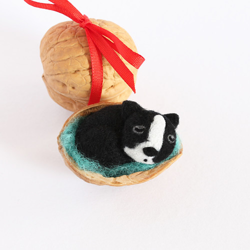 Mini kočka ve skořápce — foto 1