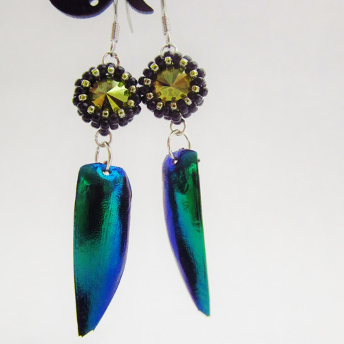Swarovski beatle