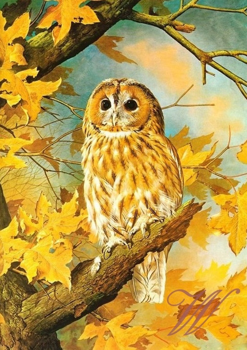 Bavlněný panel č. 2913