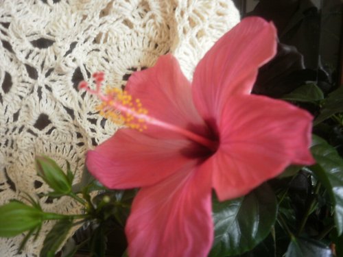 NATUR — foto 1