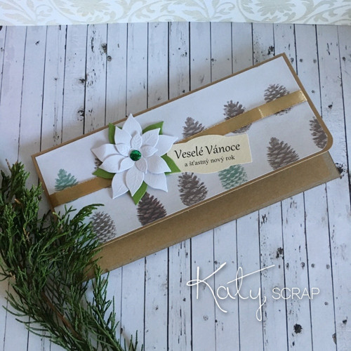 OBÁLKA / na peníze vánoční craft a šišky — foto 1