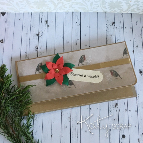 OBÁLKA / na peníze vánoční craft a ptáčci — foto 1