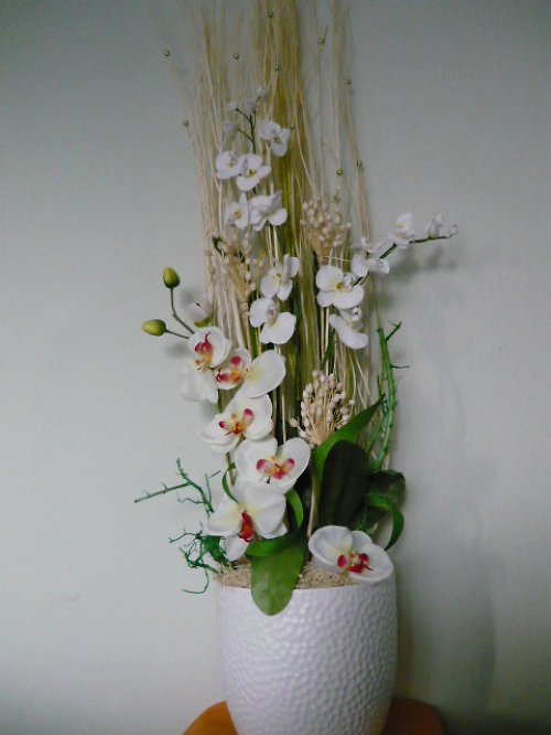 Orchidej v proutí — foto 1