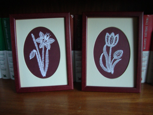 Narciska a tulipán — foto 1