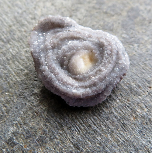Menší chalcedonová růže č.02 — foto 1