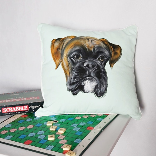 Boxer....polštář — foto 1