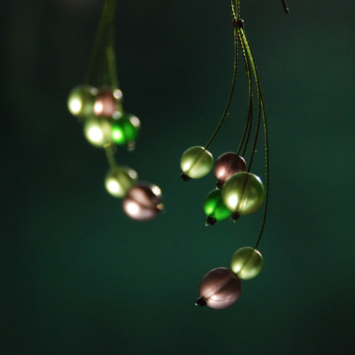 Matonky zelenofialové — foto 1