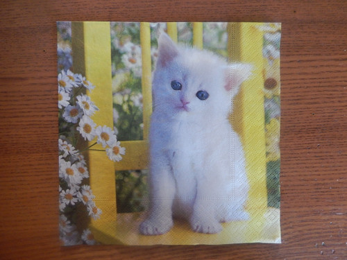 Ubrousek na decoupage - bílé koťátko