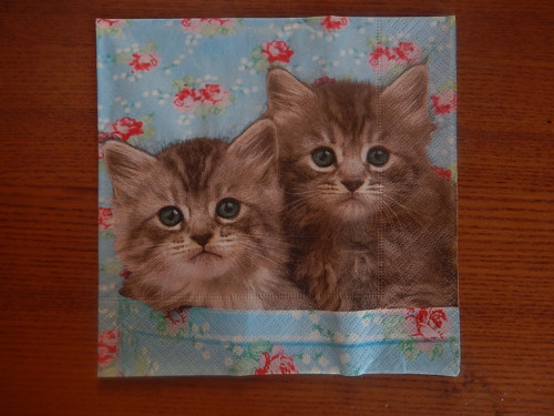 Ubrousek na decoupage - koťata v kapse