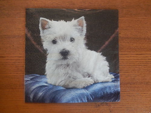Ubrousek na decoupage - bílý pejsek