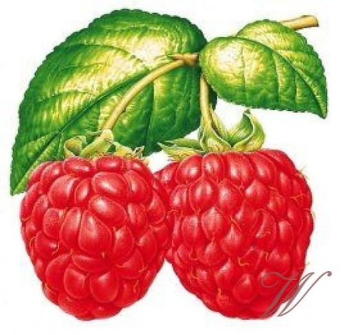 Bavlněný panel č. 3173
