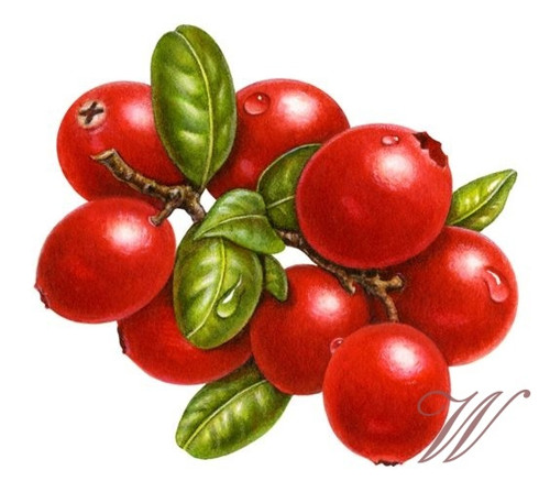 Bavlněný panel č. 3183