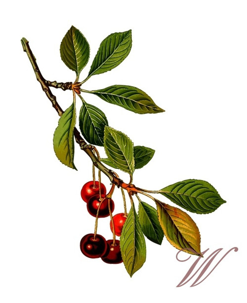 Bavlněný panel č. 3188