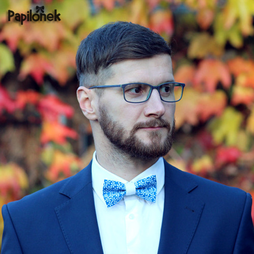 Pánský motýlek - Papilónekmodrásek II. — foto 1