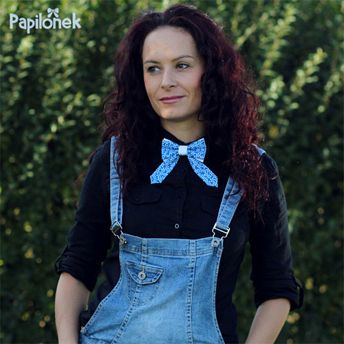 Dámský motýlek - Papilónek modráskový II. — foto 1