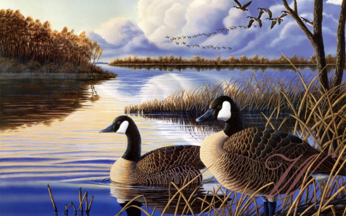 Bavlněný panel č. 3233