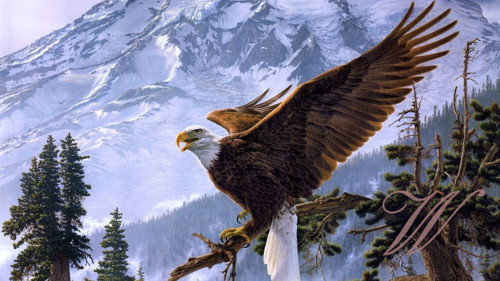Bavlněný panel č. 3245