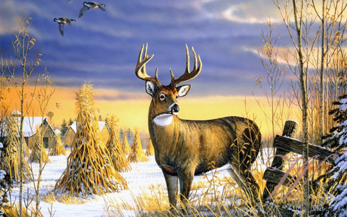 Bavlněný panel č. 3252