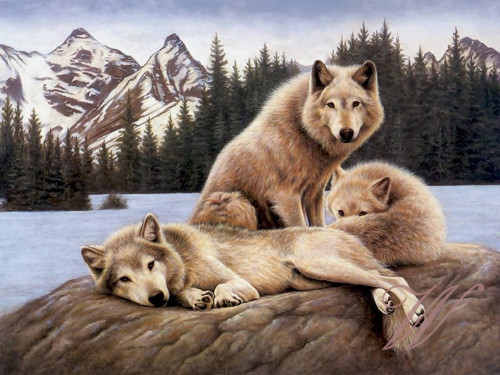 Bavlněný panel č. 3259