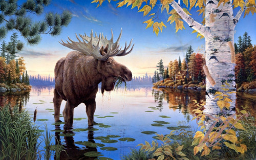 Bavlněný panel č. 3266
