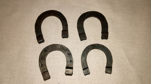 Podkovička — foto 1