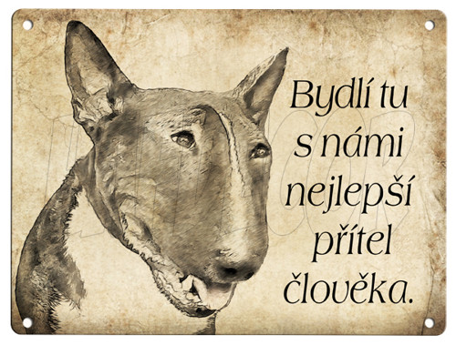 Plechová cedulka - Bulterier přítel