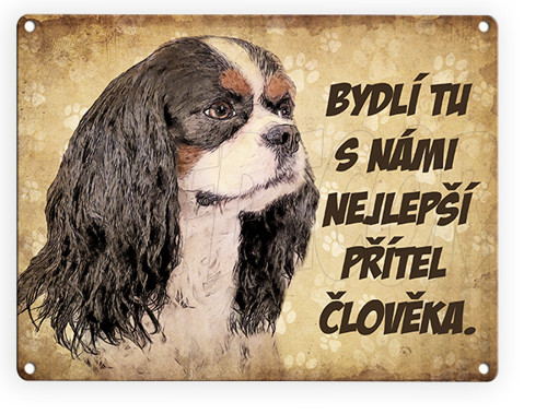 Plechová cedulka - Kavalír King Španěl přítel — foto 1
