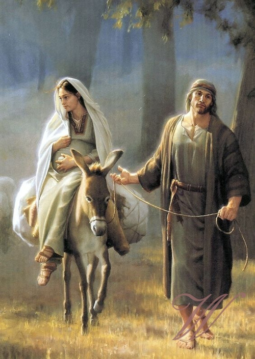 Bavlněný panel č. 3529