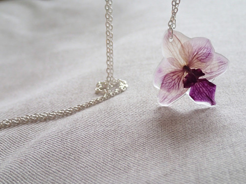 Orchidea — foto 1