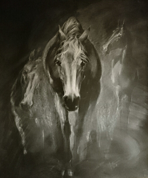 Mist — foto 1