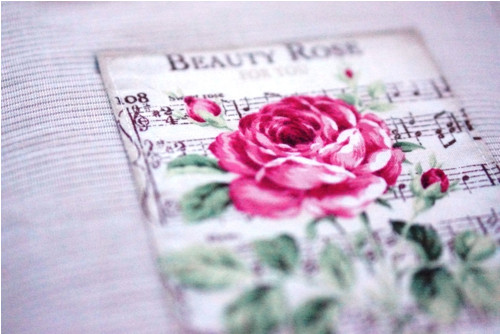 Obal na knihu Rose III. — foto 1