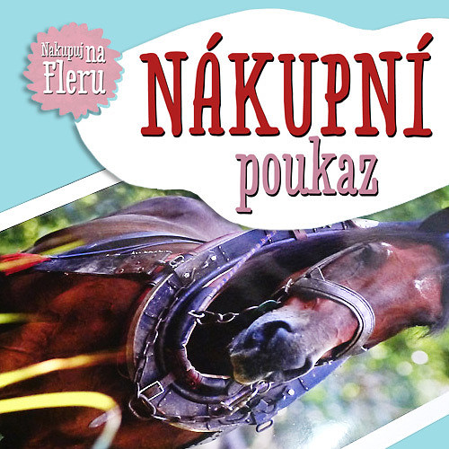 Nákupní poukaz 2500 Kč u prodejce HelenaG