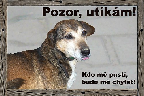 Tady hlídám já! — foto 1