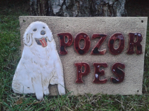 Pozor pes